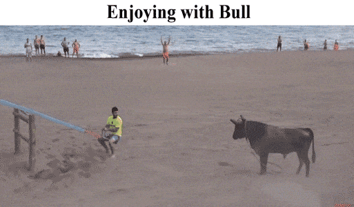 harkapeli.gif