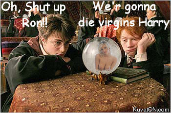 harry_ron_virgins.jpg
