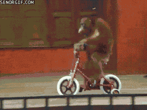 haters_gonna_hate2.gif