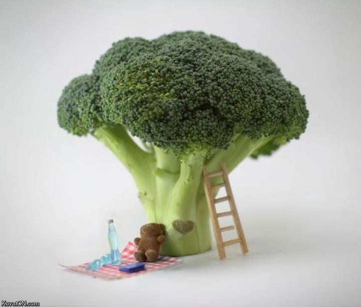 have_a_broccoli_day.jpg