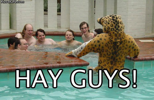 hay_guys.jpg