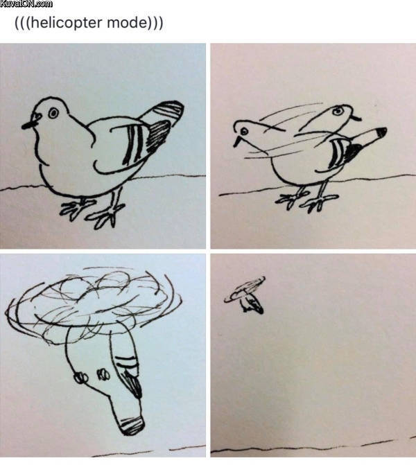 helicopter_mode.jpg