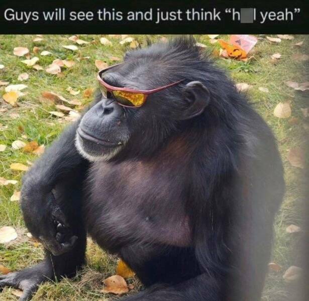 hellyeah.jpg