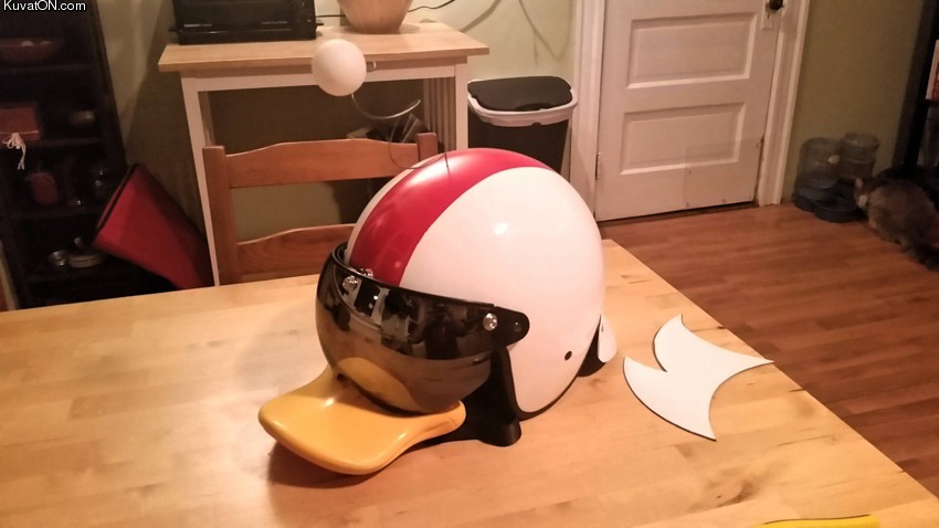 helmet_2.jpg