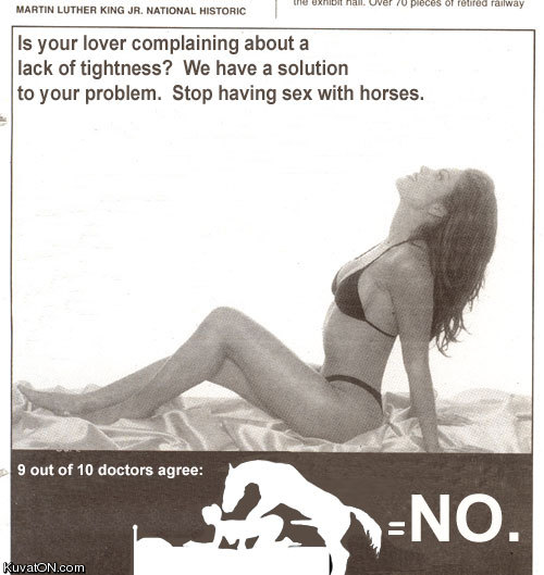 hevosseksi.jpg