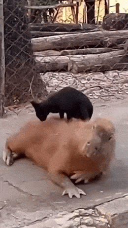 massage_hetki.gif