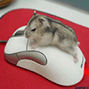 hiiret.gif