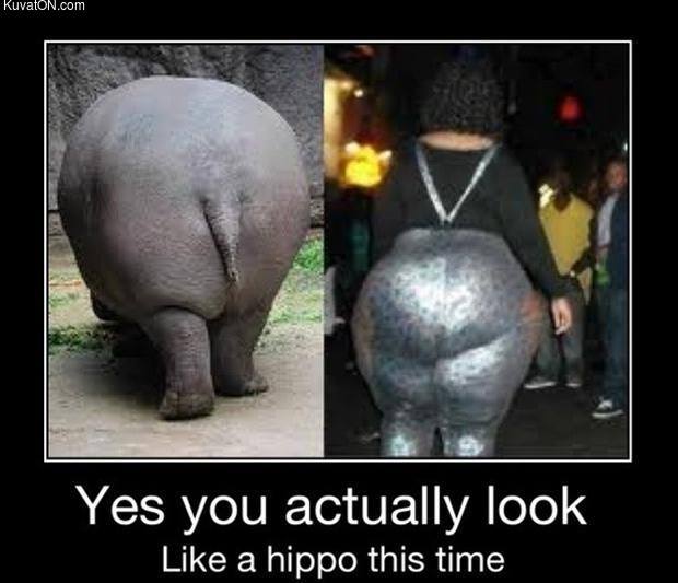 hippo_ass.jpg