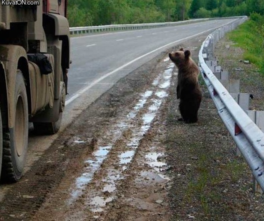 hitchhiking_in_russia.jpg
