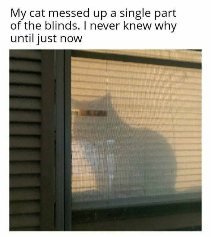 hmmm68.jpg