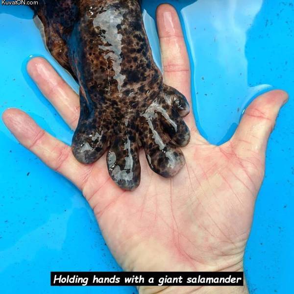 holdinghands.jpg