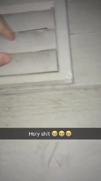 holy_shit_2.gif