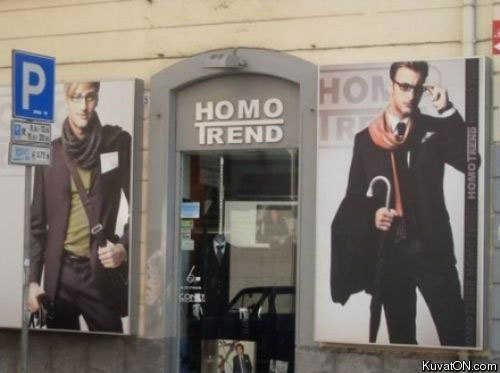 homo_trend.jpg
