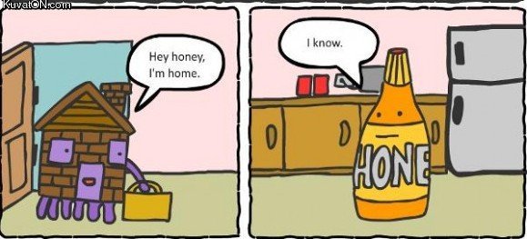 honey_home_comic.jpg