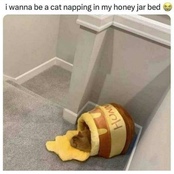 honey_jar_bed.jpg