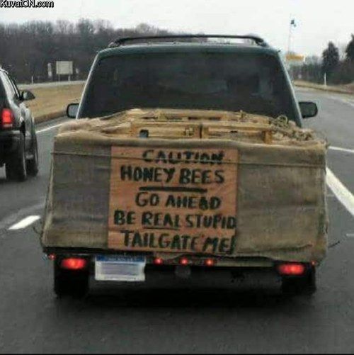 honeybees2.jpg