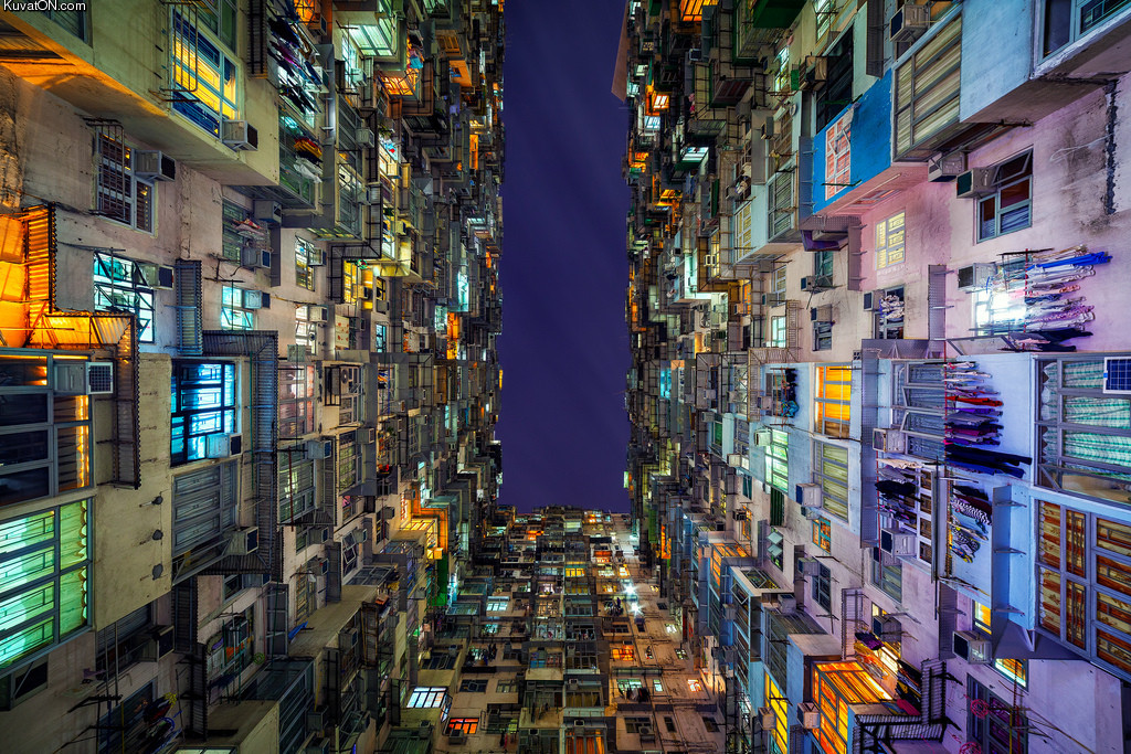 hong_kong_cityscape.jpeg