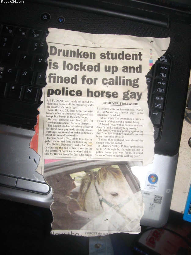 horse_gay.jpg