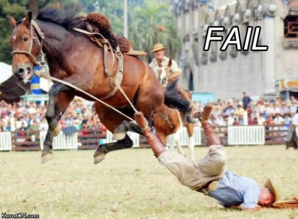 horse_rider_failure.jpg