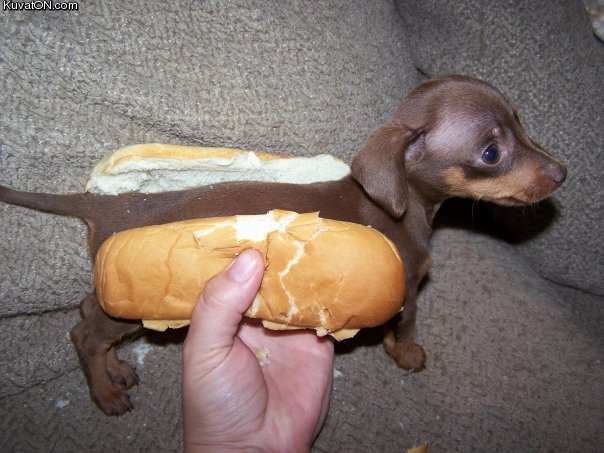 hotdog2.jpg