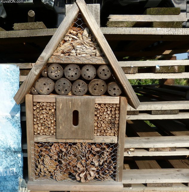 house_for_wild_bees.jpg