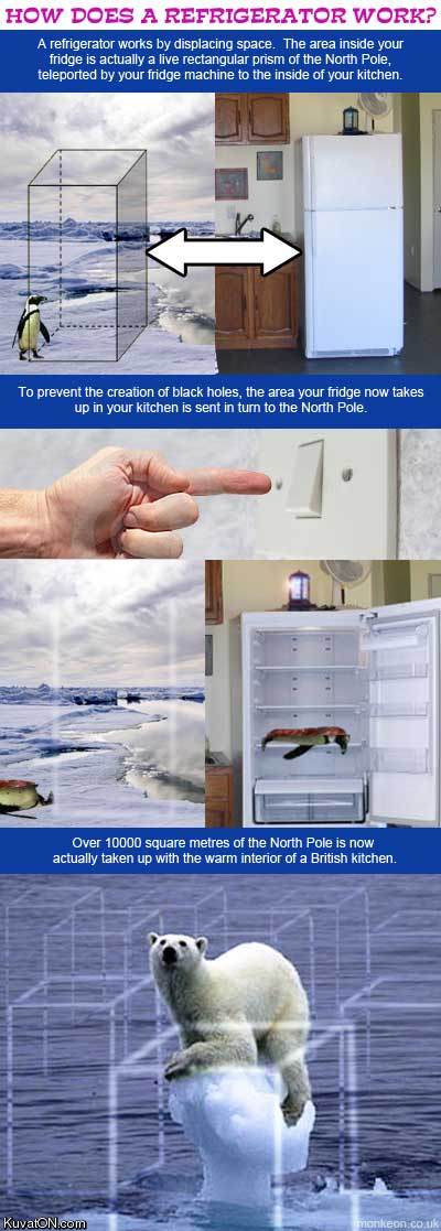 how_does_a_fridgerator_work.jpg
