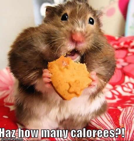 how_many_calories.jpg