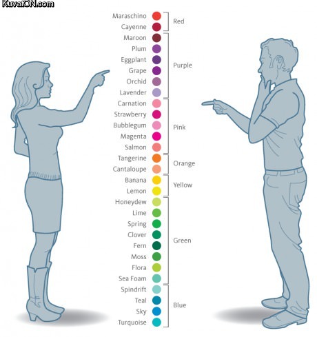 how_men_and_women_see_colours.jpg