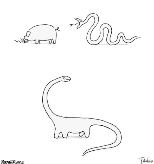 how_the_dinosaurs_came_to_be.jpg