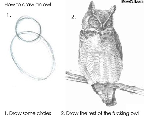 how_to_draw_an_owl.jpg