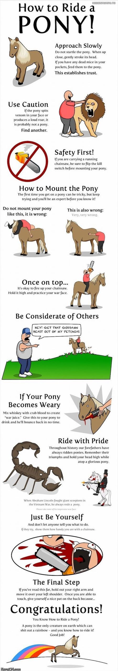how_to_ride_a_pony.jpg