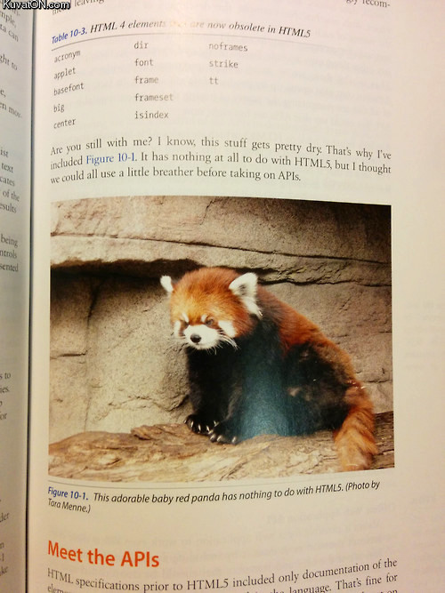 html5_red_panda.jpg