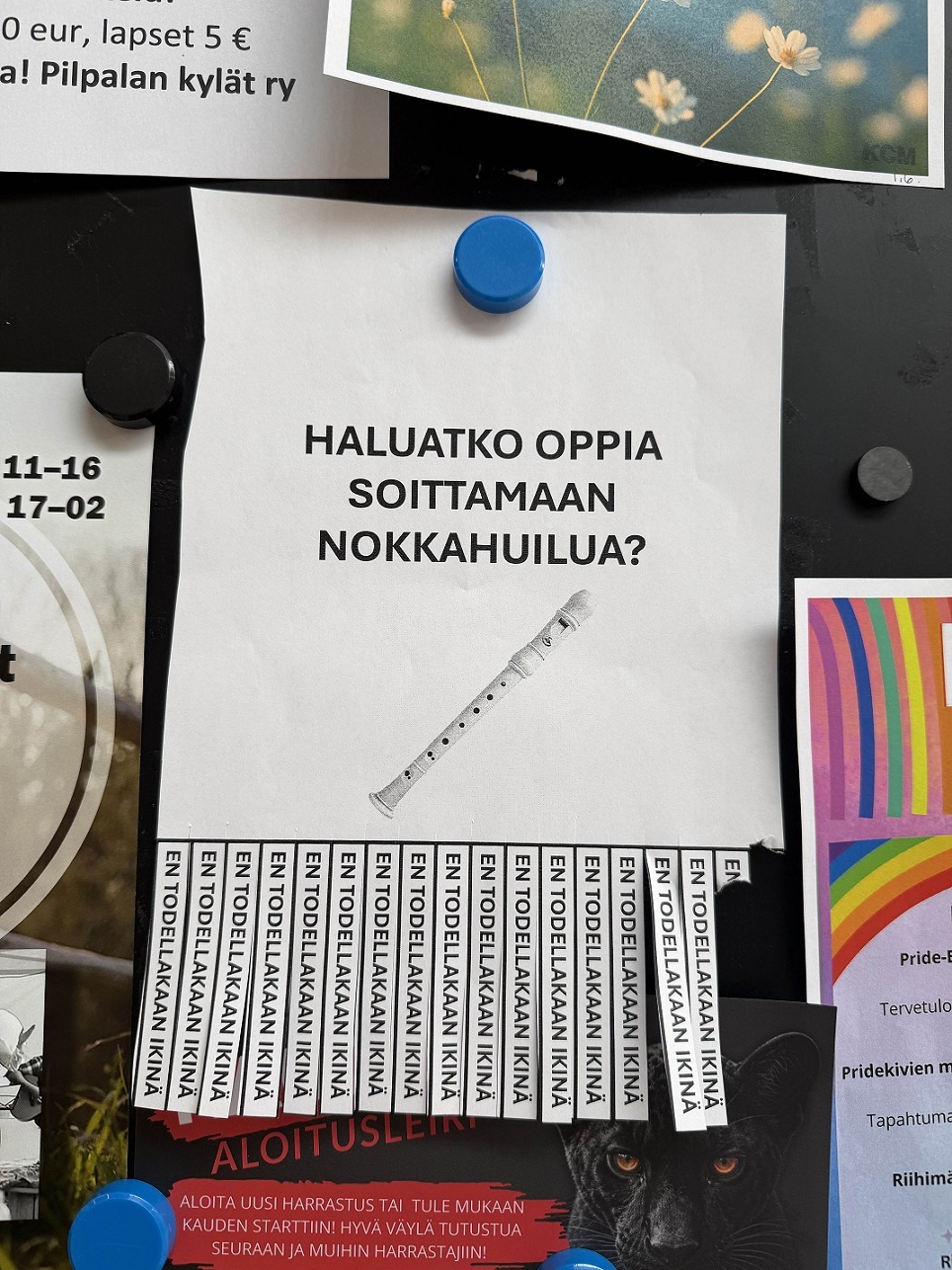 huilu.jpg