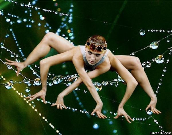 human_spider.jpg