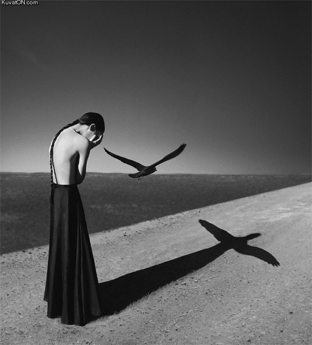 hungarian_photographer_noell_s_oszvald.jpg