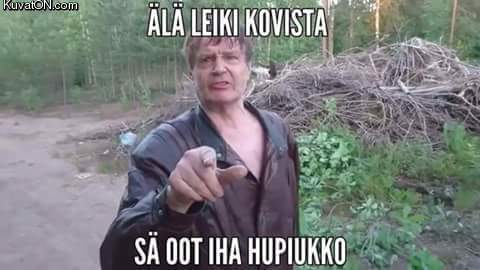 hupiukko.jpg