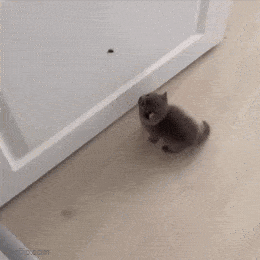 hyokkays8.gif