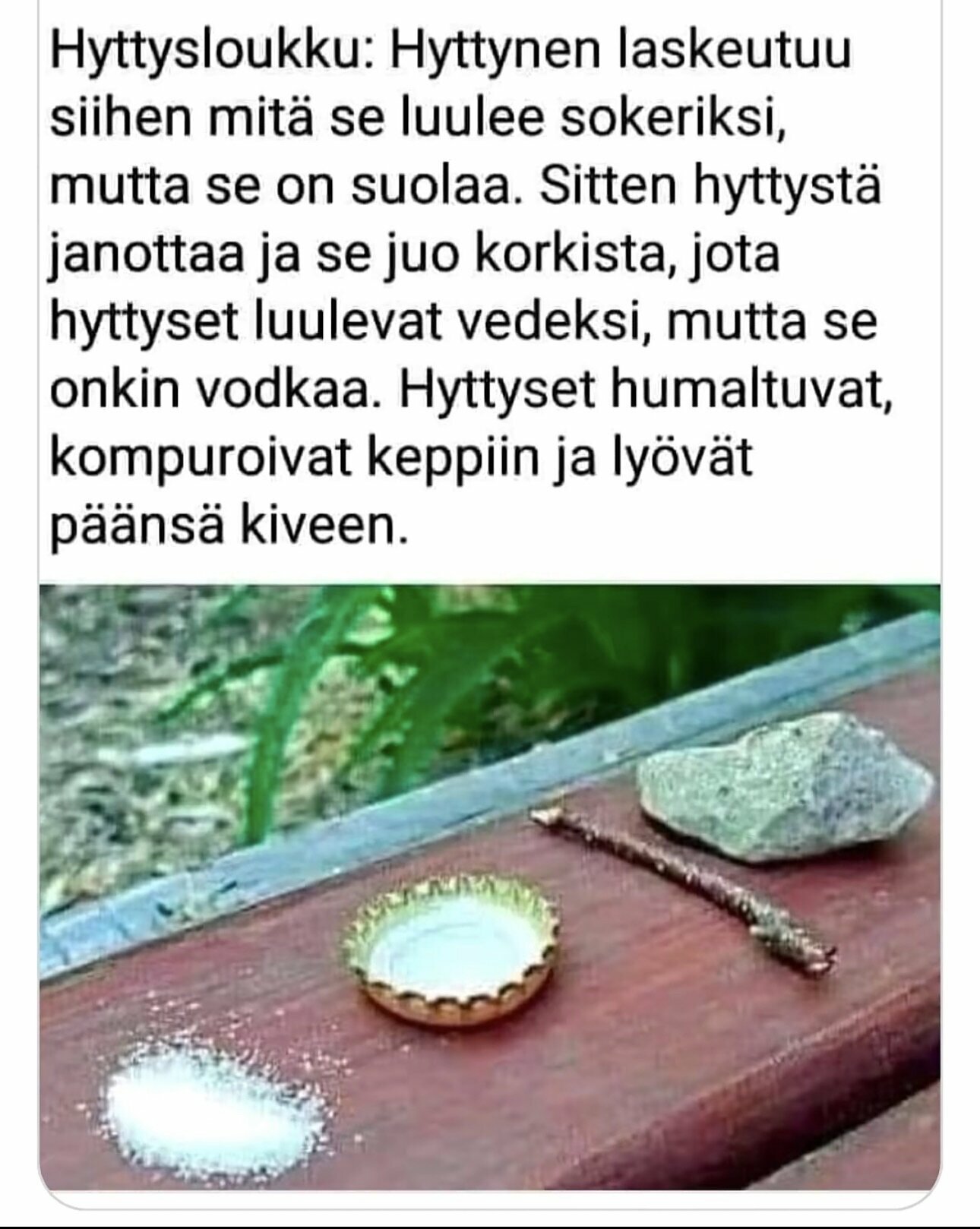 hyttysloukku2.jpg