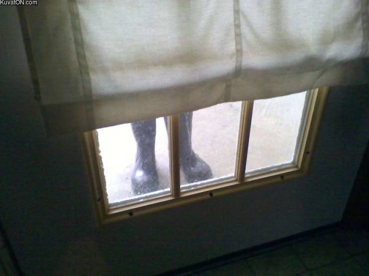 i_left_my_boots_at_the_back_door_when_i_was_walking_back_outside_i_nearly_had_a_heart_attack.jpg
