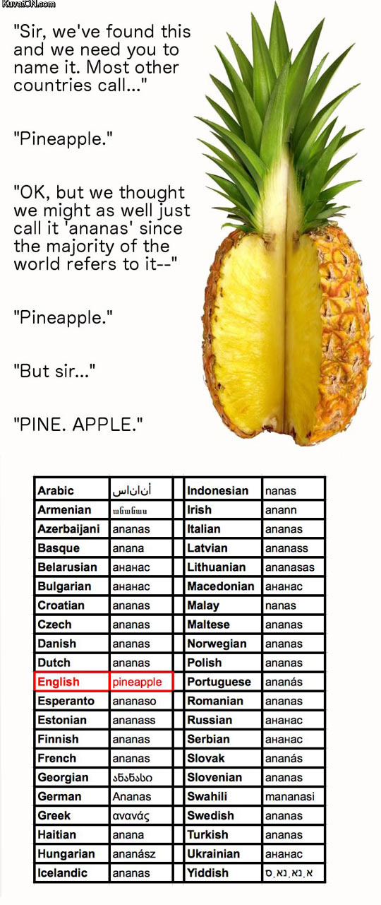 i_said_pineapple_and_its_final.jpg