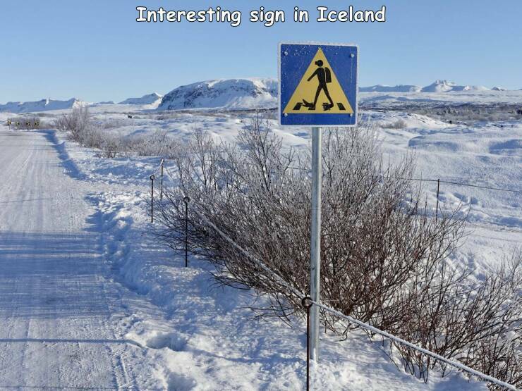 iceland_sign.jpg
