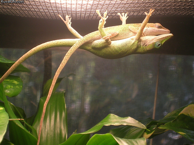 if_i_fits_i_sleeps.jpg