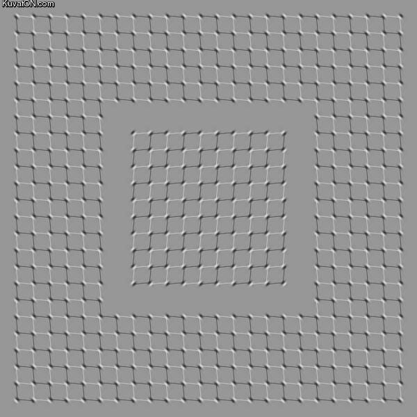 illuusio5.jpg