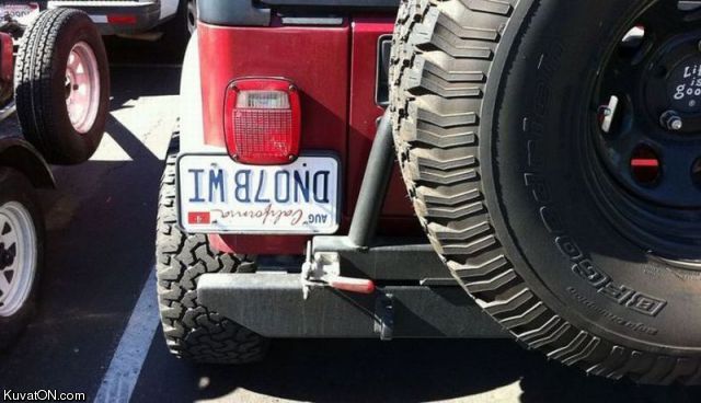 im_blond_license_plate.jpg