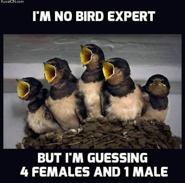 im_not_bird_expert.jpg