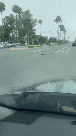 imurointi_lahti_lapasesta.gif