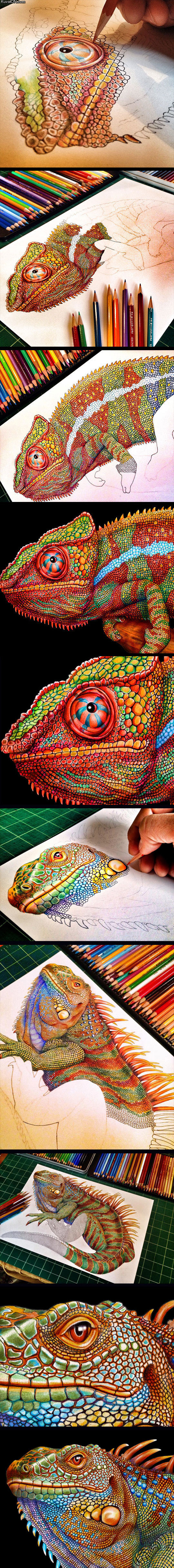 incredibly_detailed_drawing_of_a_chameleon.jpg