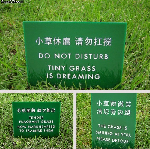 interesting_sign_translations.jpeg