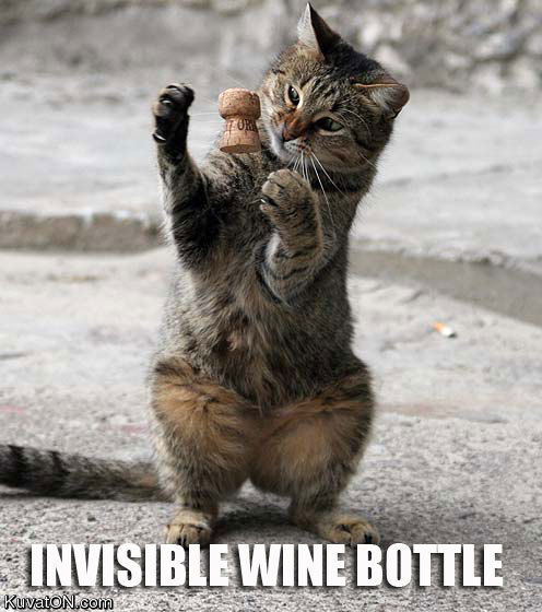 invisiblewinebottle.jpg