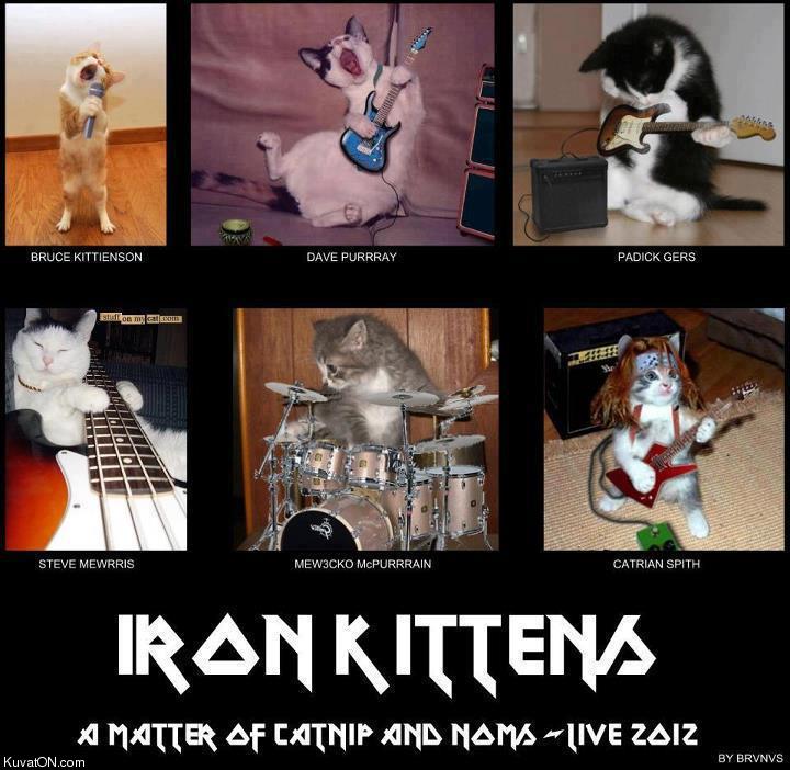 iron_kittens.jpg